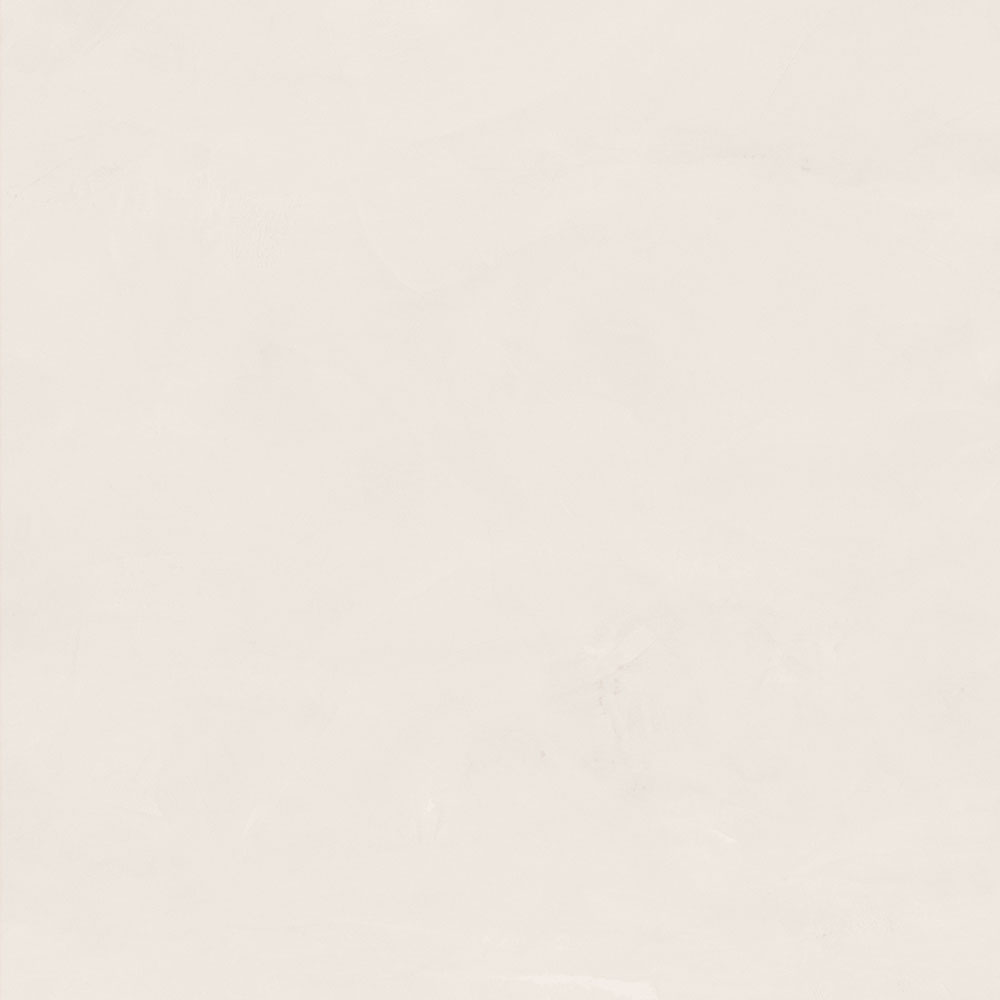 S8810